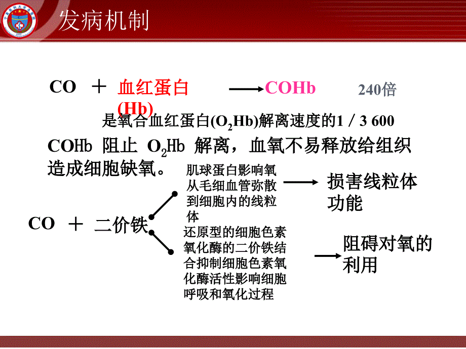 一氧化碳中毒及迟发脑病1_第4页