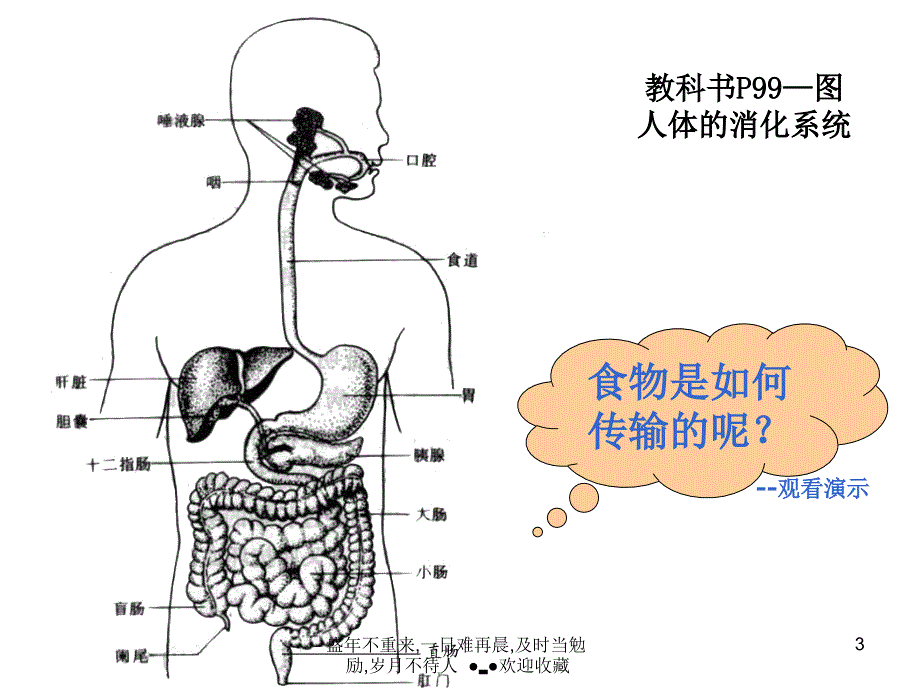 健康的身体_第3页