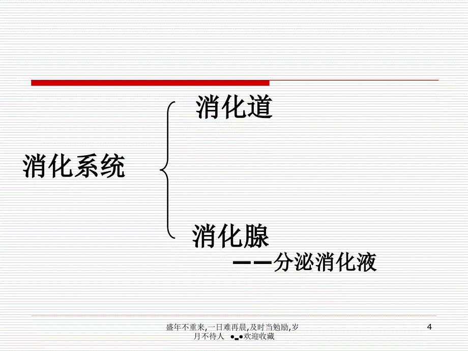 健康的身体_第4页