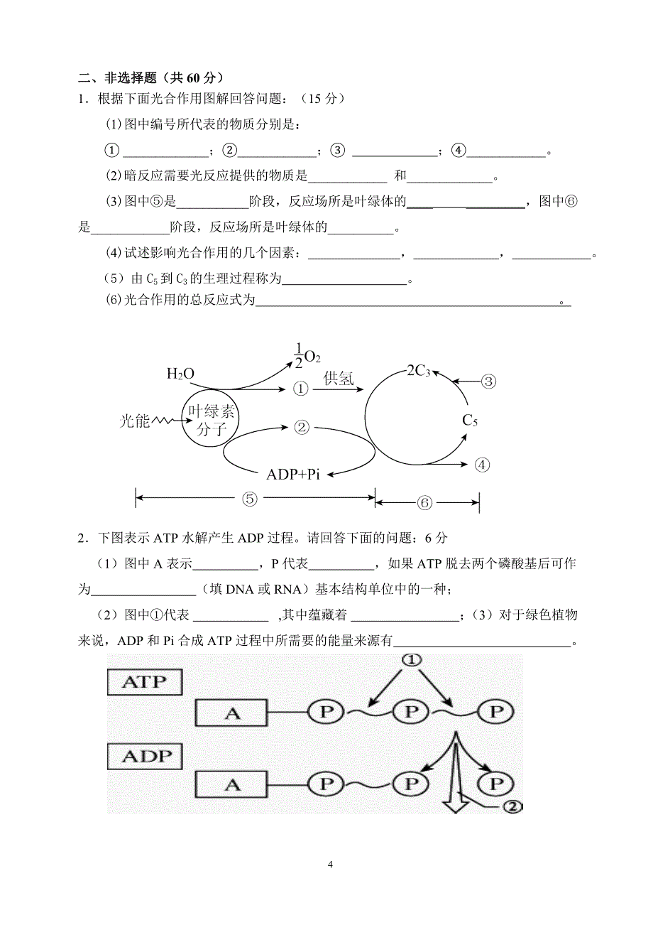 (完整word版)高一生物必修一第五章测试题含答案.doc_第4页