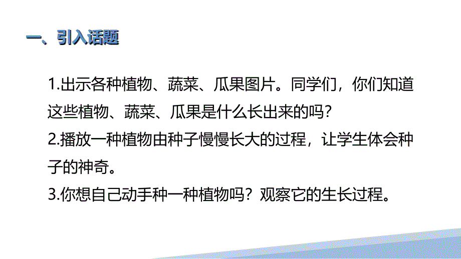 一年级劳动教育8.神奇的种子（课件）_第3页