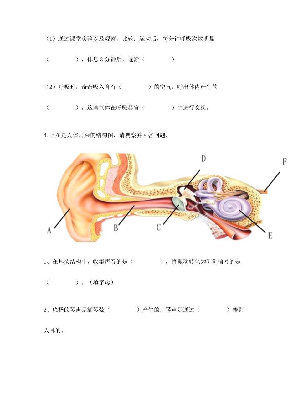 教科版小学四年级上册科学期末测试卷附参考答案【综合卷】.docx_第5页