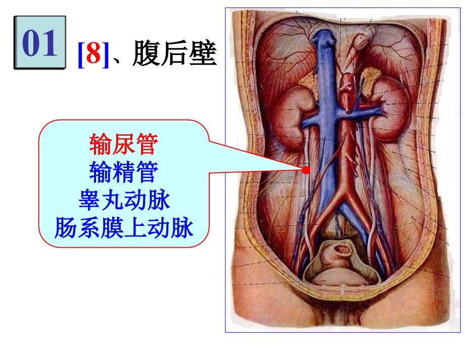 局解实验集锦3_第3页