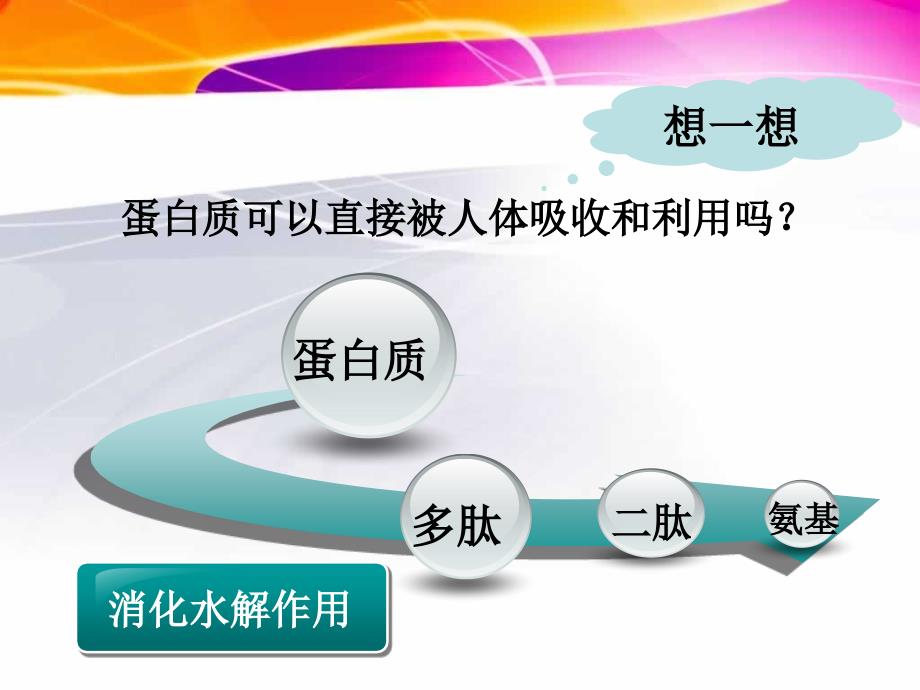 【生物】22生命活动的主要承担者——蛋白质课件2（人教版必修1）_第4页