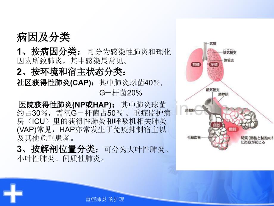 重症肺炎的护理_第3页