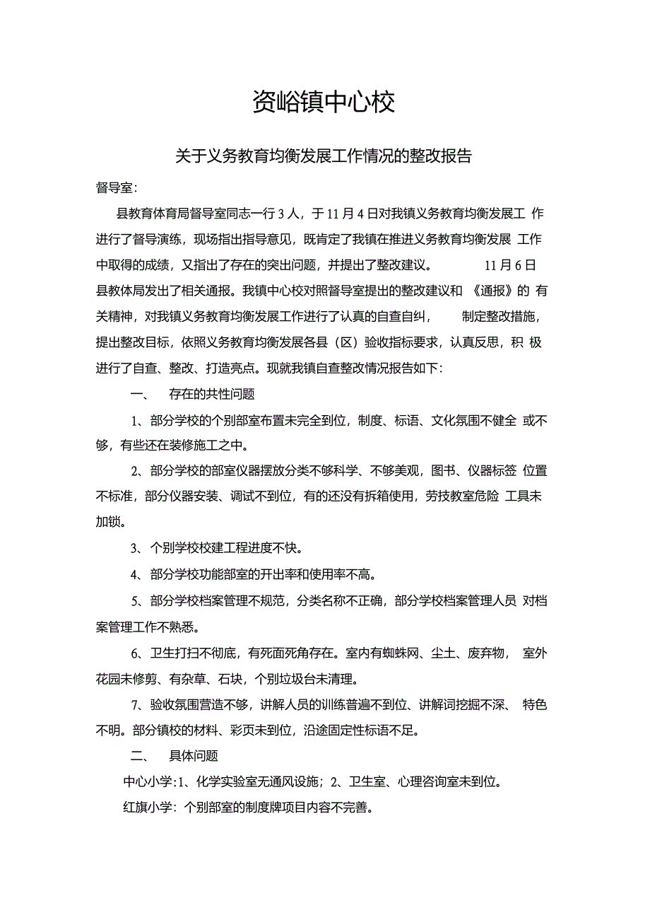 自查整改报告_第1页