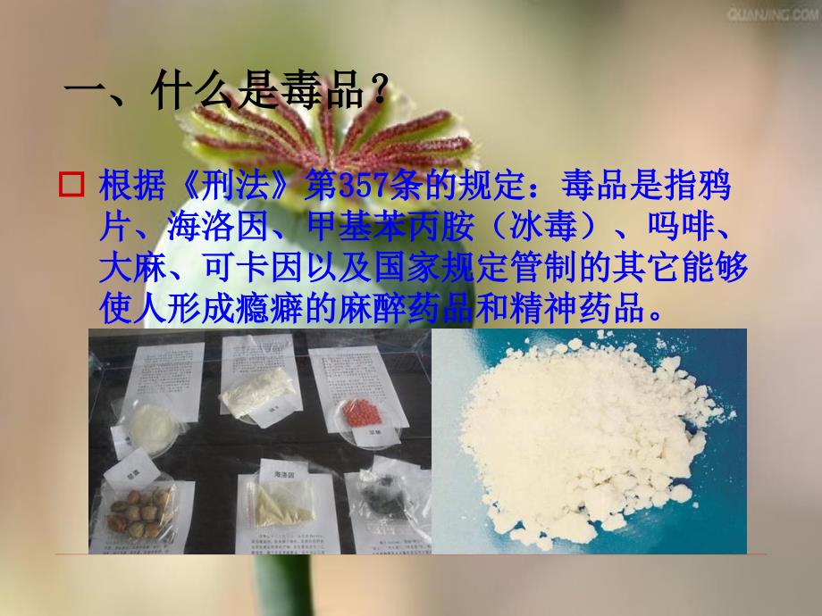 1珍爱生命远离毒品_第3页