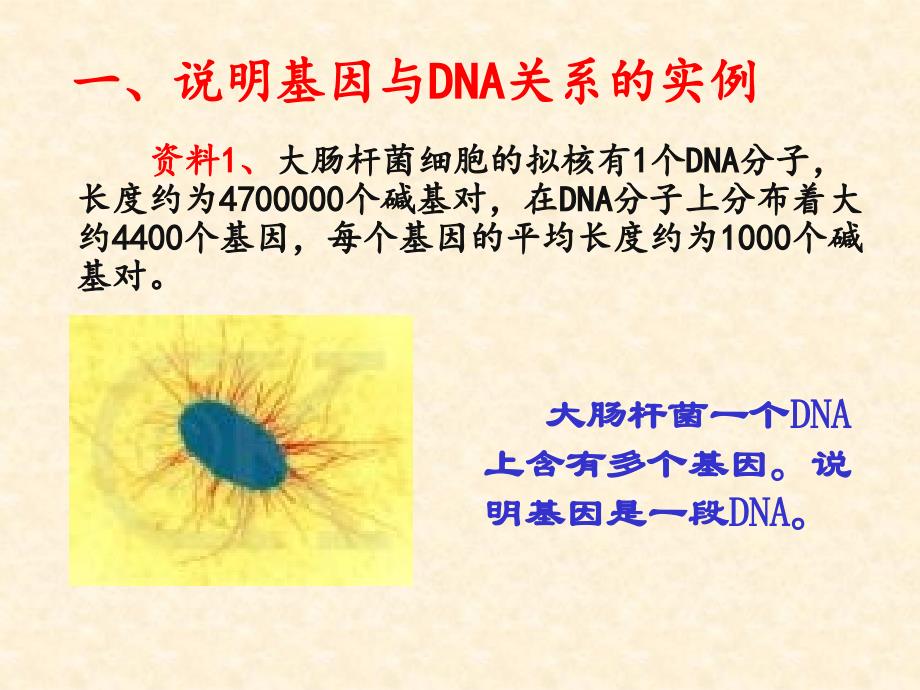 3.4基因是有遗传效应的DNA片段课件8张远芬_第1页