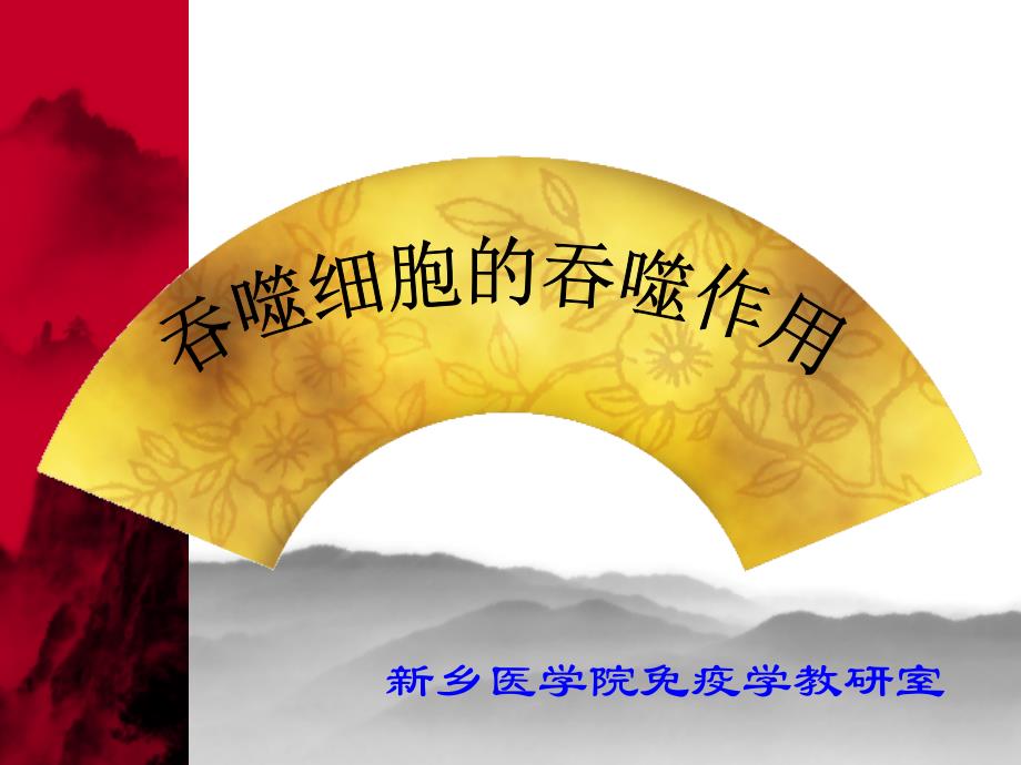 医学专题：小吞噬细胞的吞噬功能检测_第1页