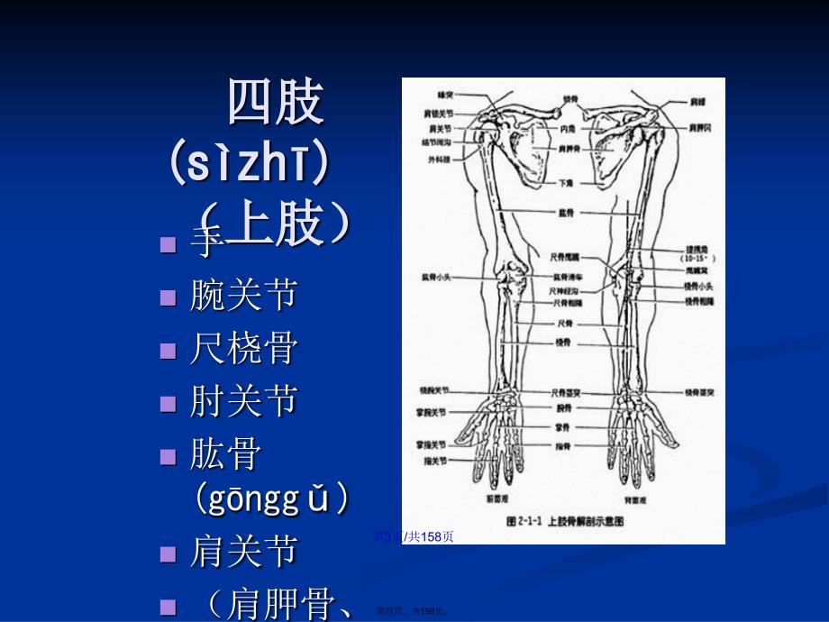 四肢的X线摄影学习教案_第4页