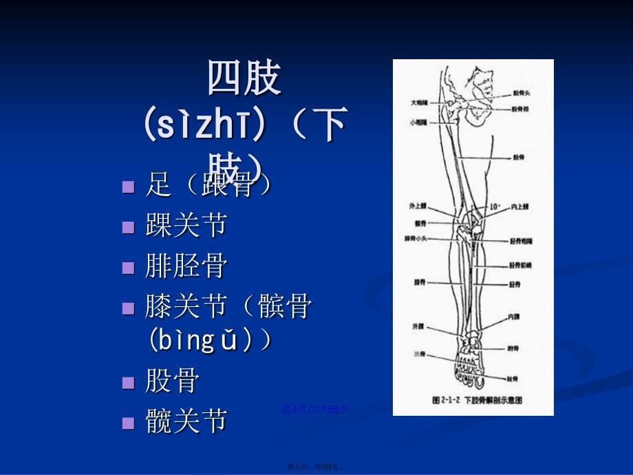 四肢的X线摄影学习教案_第5页