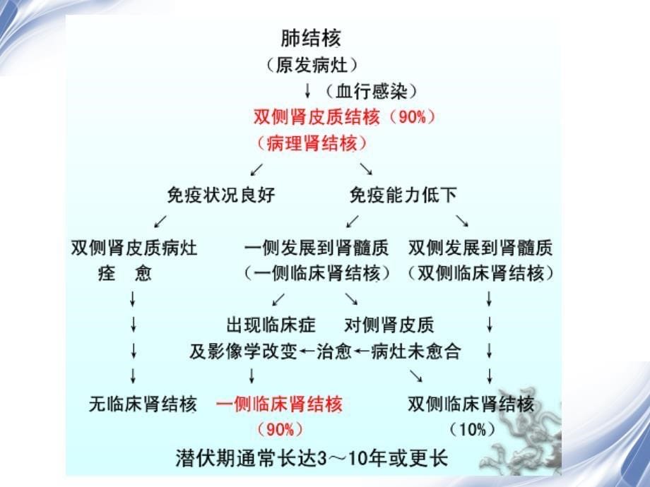 医学影像肾与输尿管结核影像诊断_第5页