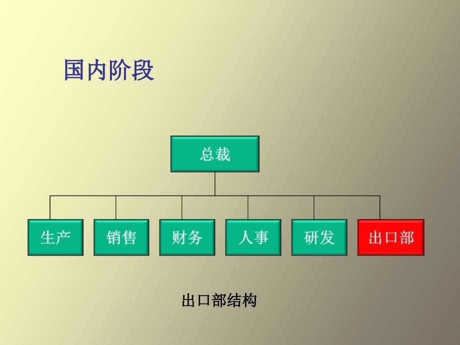 跨国公司经营风险_第5页