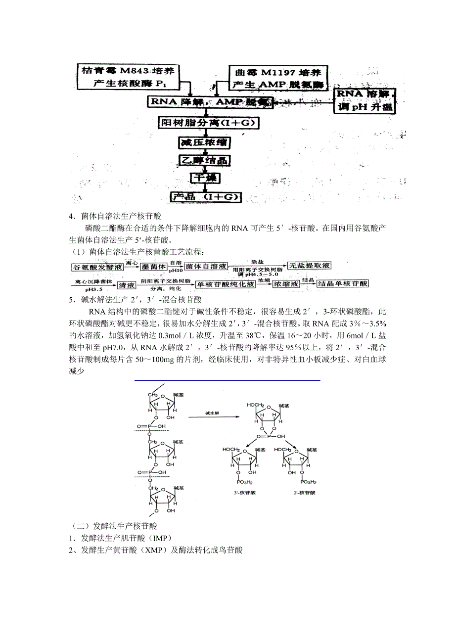 第12章核酸与核苷类药物_第4页