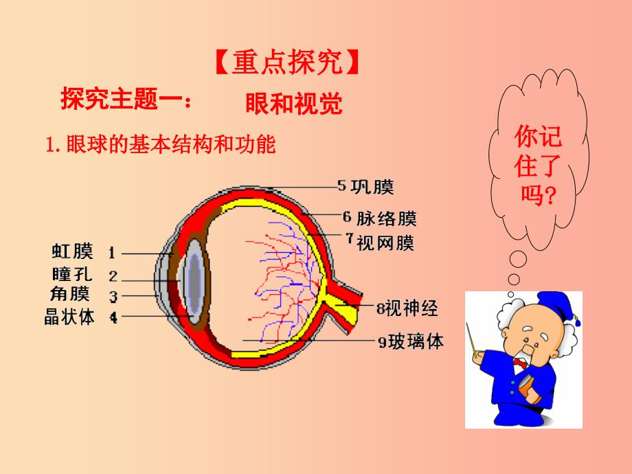 七年级生物下册 第四单元 生物圈中的人 第六章 人体生命活动的调节 1 人体对外界环境的感知教学 新人教版.ppt_第4页