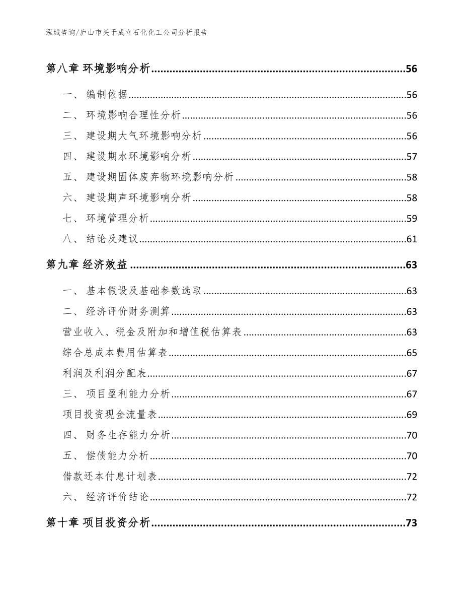 庐山市关于成立石化化工公司分析报告范文模板_第5页