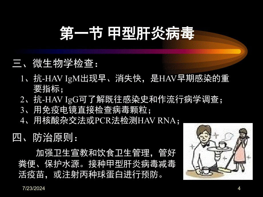 第二十八部分肝炎病毒_第4页