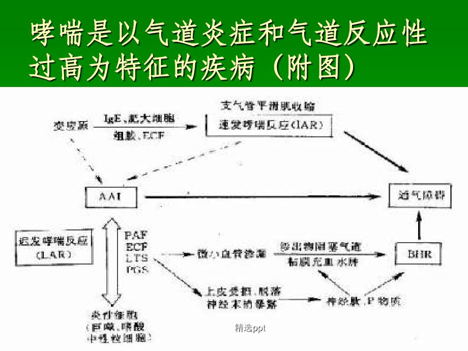 常用支气管哮喘药物介绍_第4页