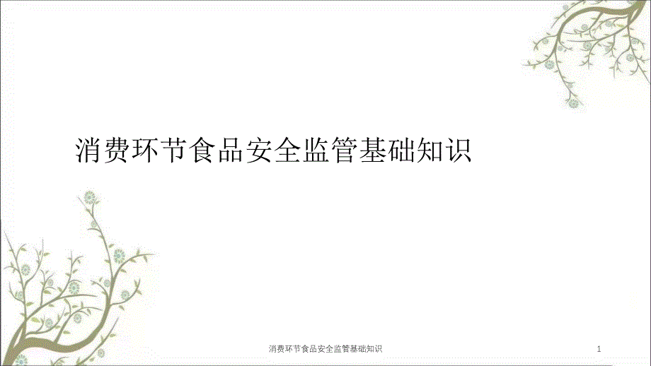 消费环节食品安全监管基础知识课件_第1页