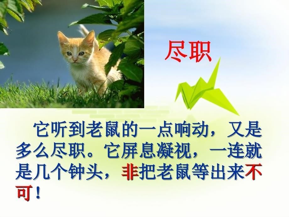 人教版四年级上册《猫》第二课时课件_第5页