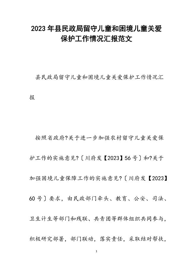 2023年县民政局留守儿童和困境儿童关爱保护工作情况汇报.docx