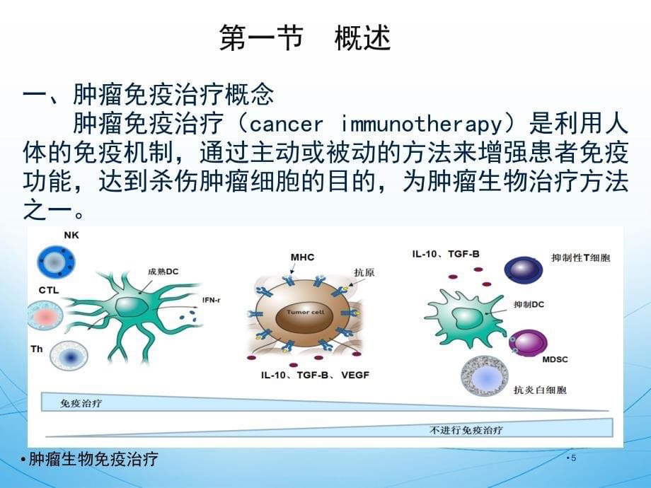 肿瘤生物免疫治疗ppt课件_第5页