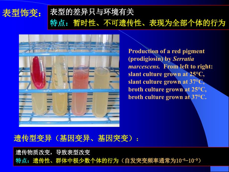 第七章微生物_第3页