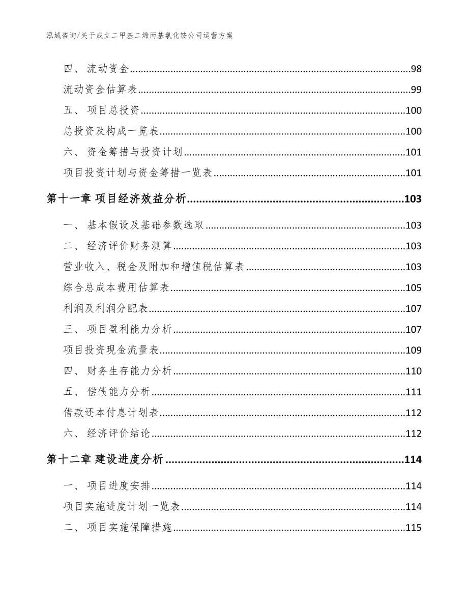 关于成立二甲基二烯丙基氯化铵公司运营方案【范文模板】_第5页