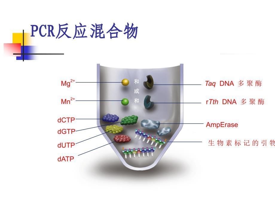 临床PCR试剂盒的选用和质检_第5页