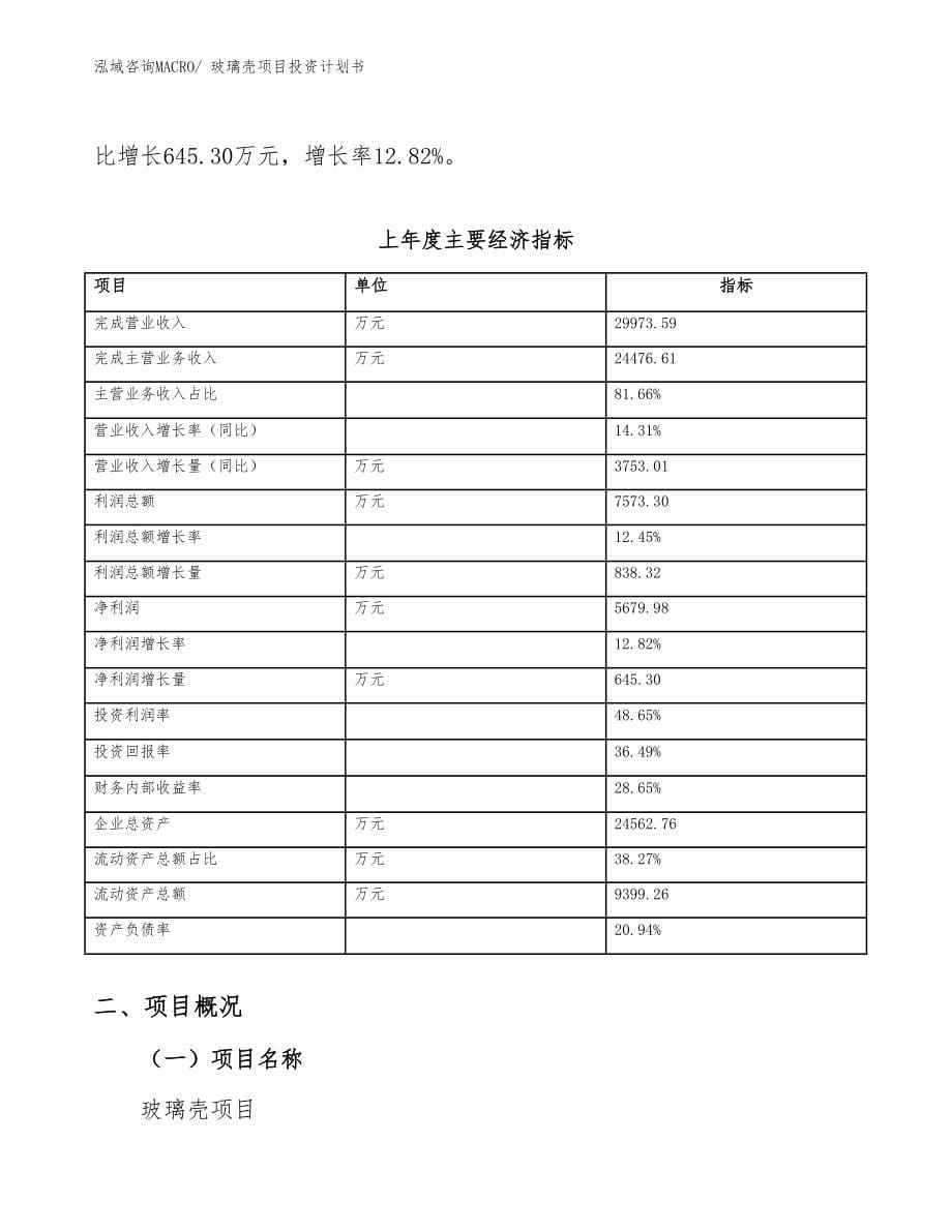 玻璃壳项目投资计划书_第5页