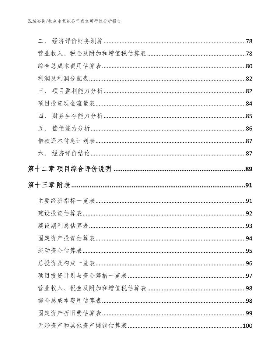 扶余市氢能公司成立可行性分析报告（模板范本）_第5页