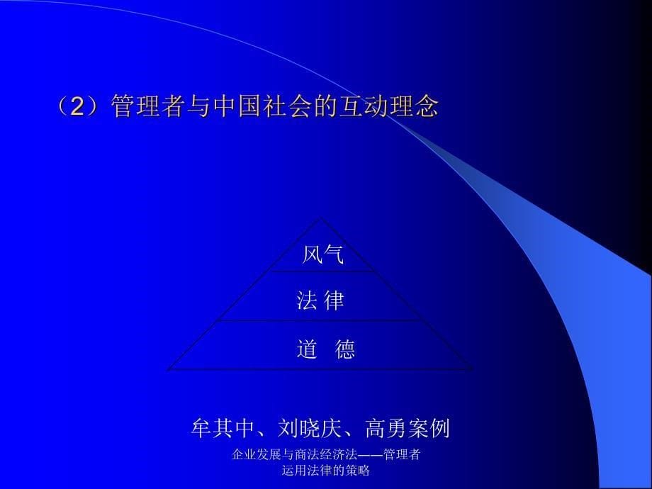 企业发展与商法经济法管理者运用法律的策略课件_第5页