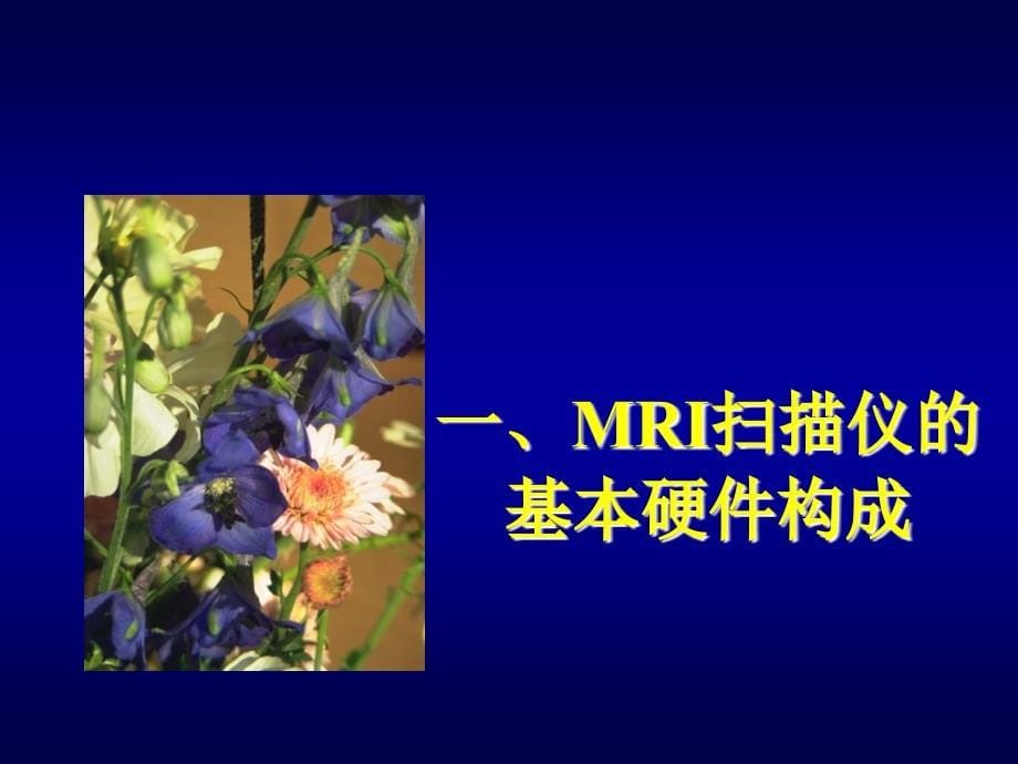 MRI基本原理-杨正汉.ppt_第5页