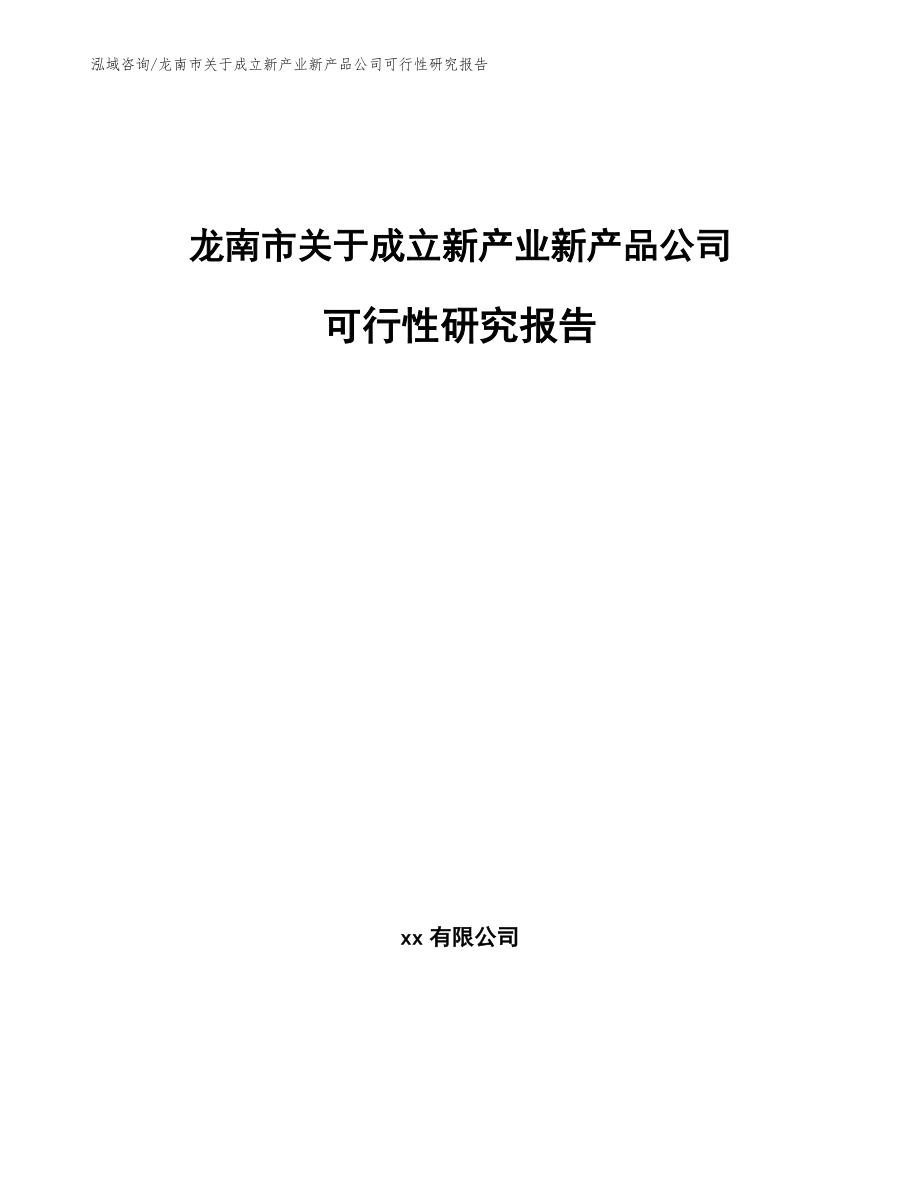 龙南市关于成立新产业新产品公司可行性研究报告_模板_第1页