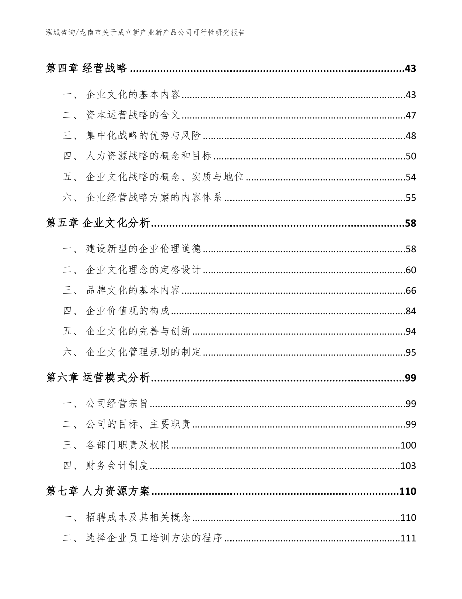 龙南市关于成立新产业新产品公司可行性研究报告_模板_第3页