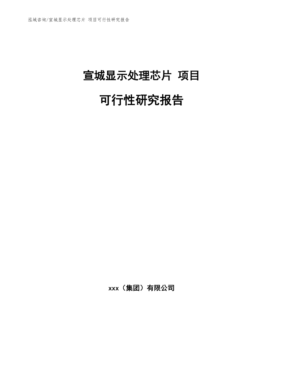 宣城显示处理芯片 项目可行性研究报告_第1页