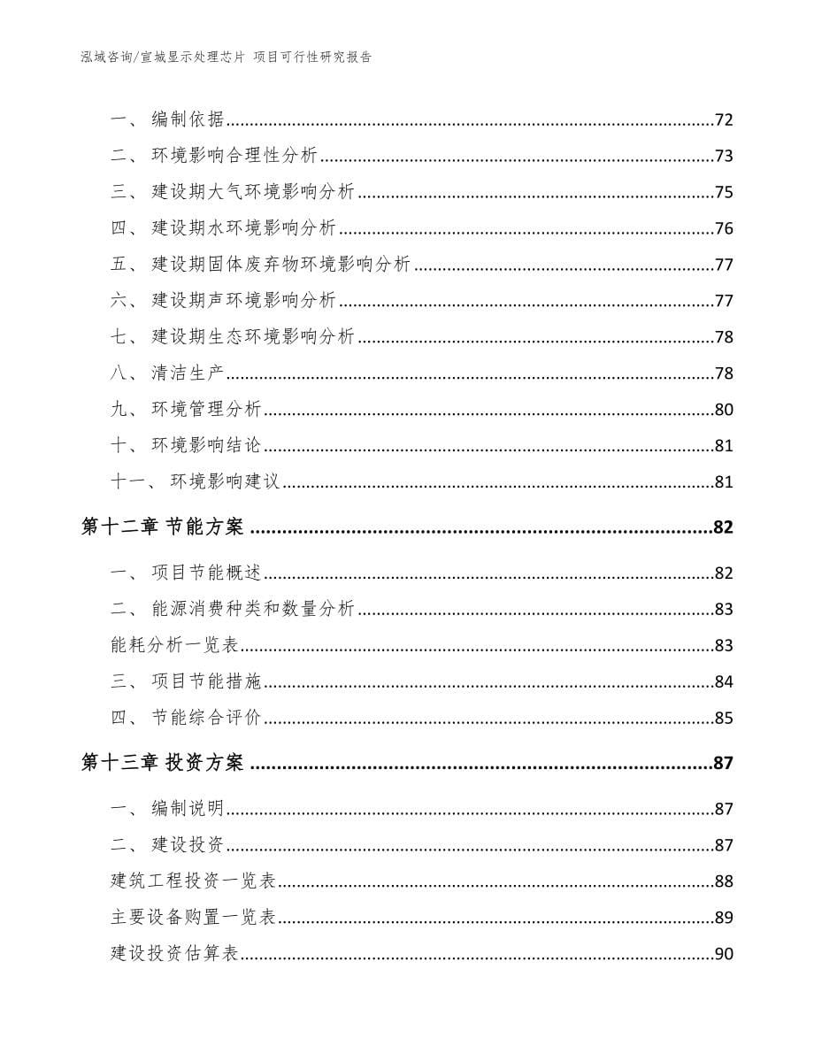 宣城显示处理芯片 项目可行性研究报告_第5页