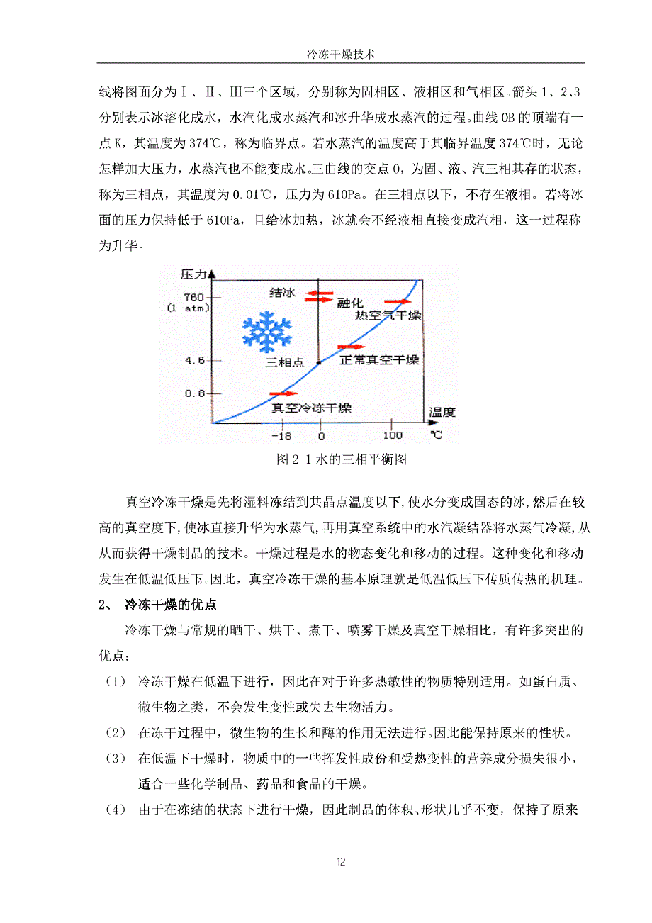 04-冻干工艺培训教材第二章、真空冷冻干燥原理_第2页