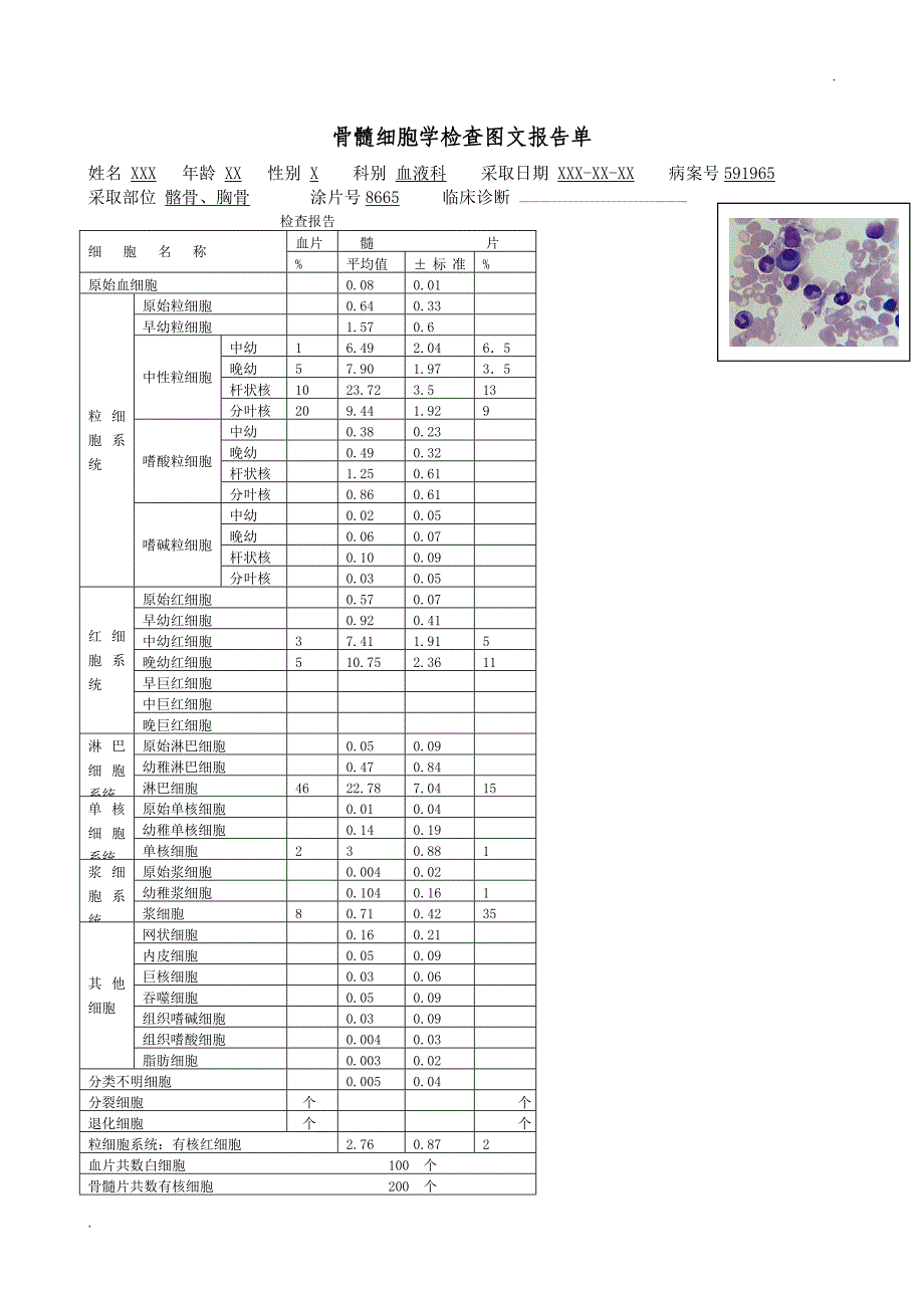 骨髓细胞学检查图文报告单范本_第2页