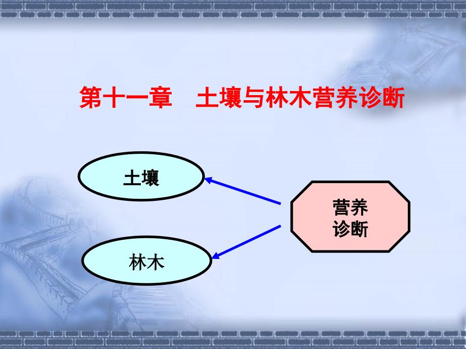 第十一章土壤与林木营养诊断_第1页