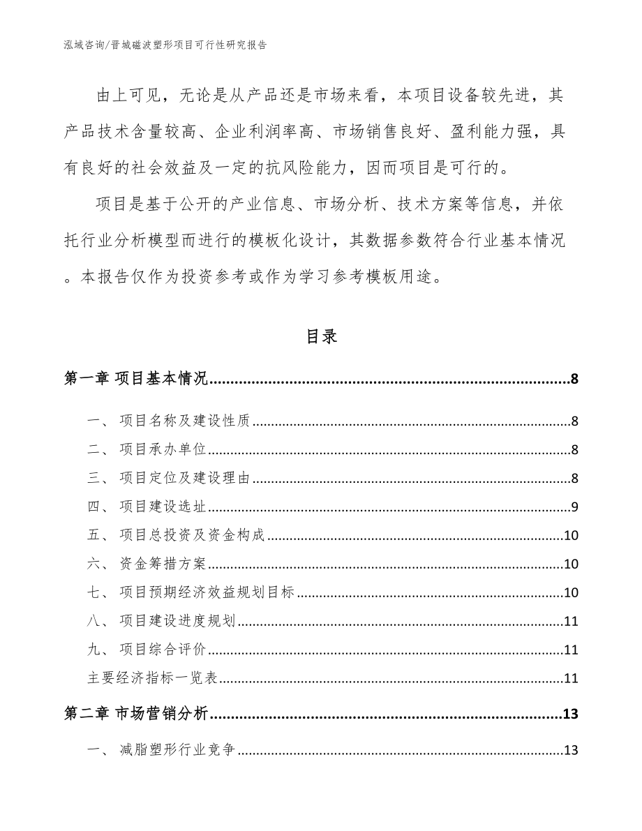 晋城磁波塑形项目可行性研究报告_第3页