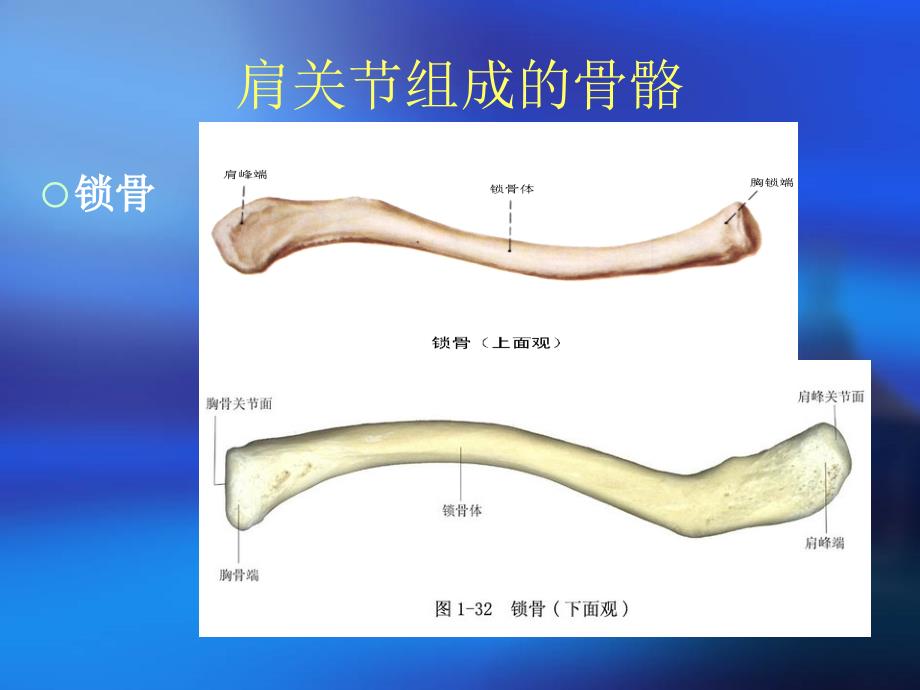 肩袖损伤课件_第4页