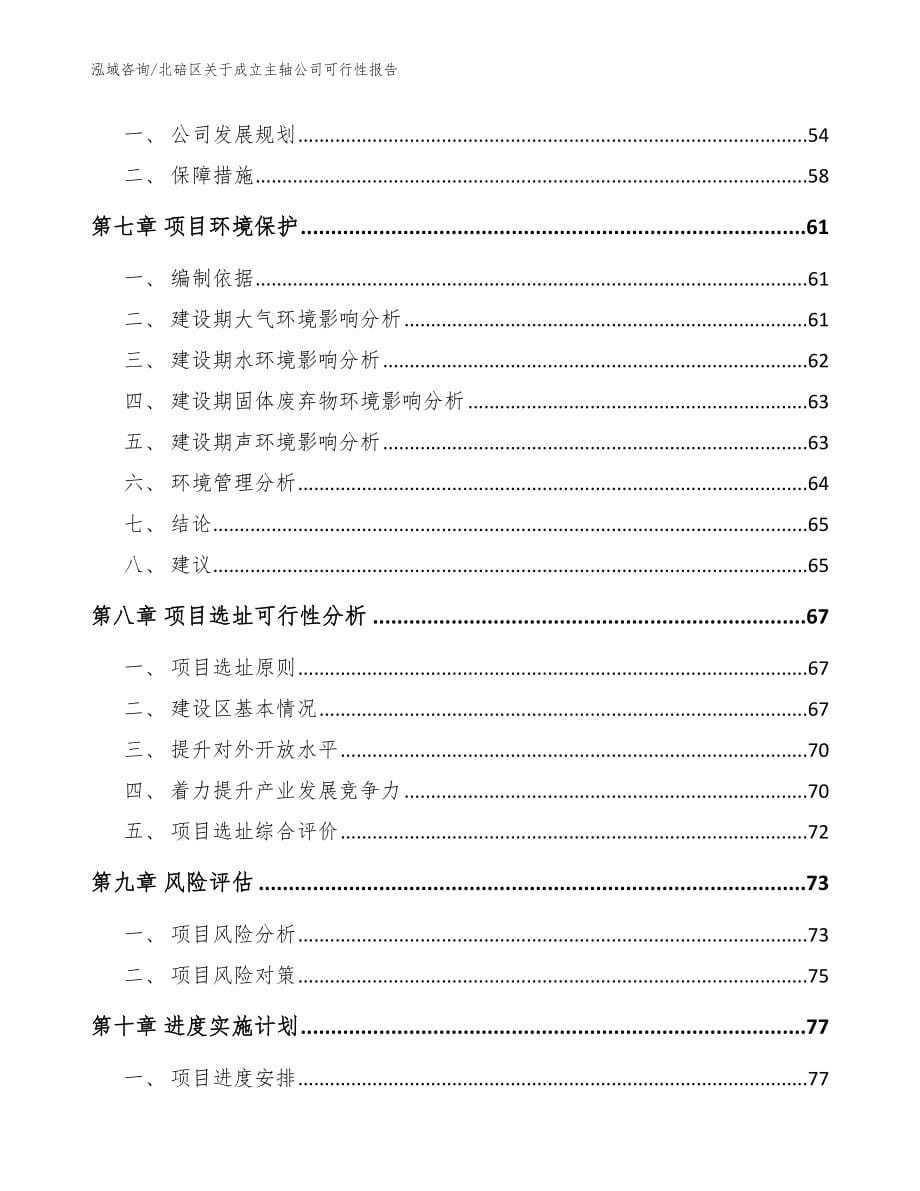 北碚区关于成立主轴公司可行性报告（参考范文）_第5页