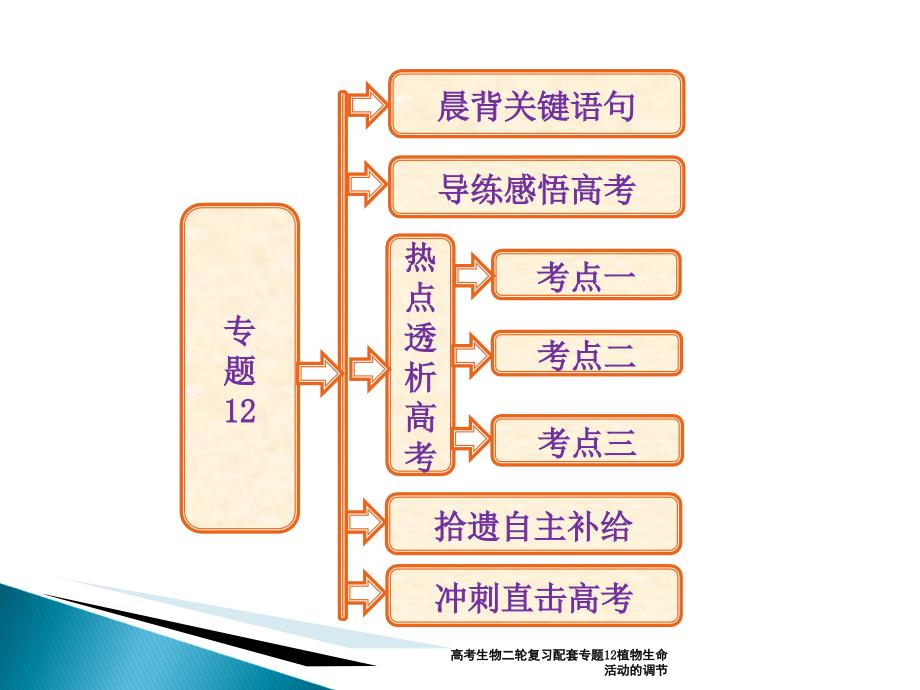 高考生物二轮复习配套专题12植物生命活动的调节课件_第1页