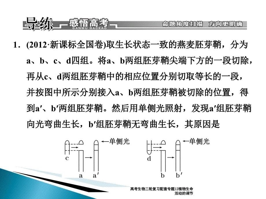 高考生物二轮复习配套专题12植物生命活动的调节课件_第5页