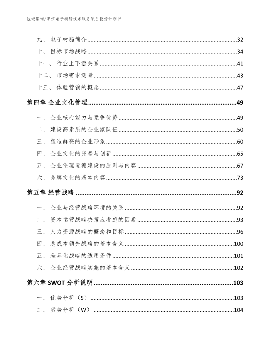 阳江电子树脂技术服务项目投资计划书_参考模板_第2页