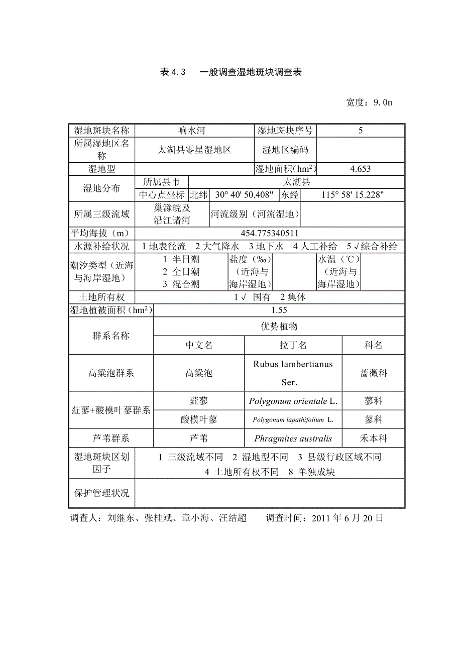 一般湿地斑块表.doc_第1页