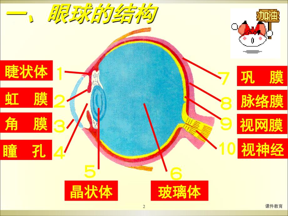 人体对外界环境的感知课件稻香书屋_第2页