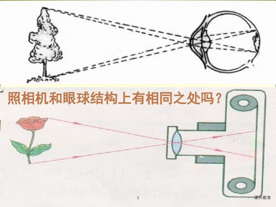 人体对外界环境的感知课件稻香书屋_第5页