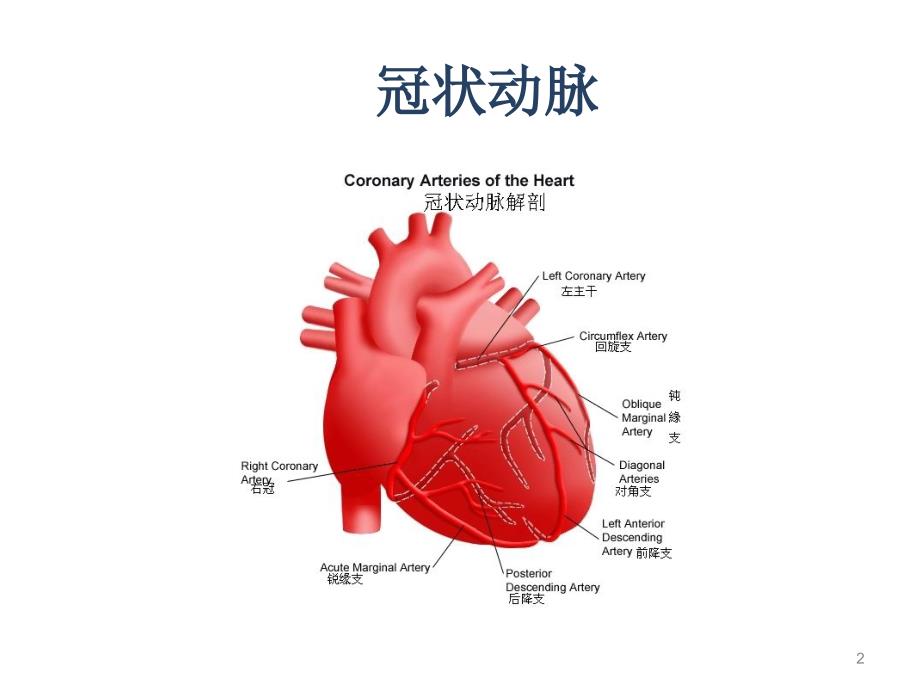 冠心病的常规护理PPT课件_第2页